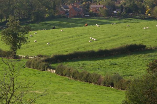 L'UE pousse les agriculteurs britanniques à exploiter les plus beaux paysages 